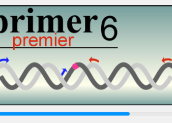 Primer Premier 6.25 Mac破解版 分子生物研究软件