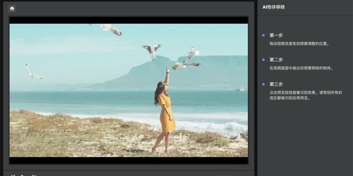 HitPaw Video Object Remover 快速去除视频水印人物或背景