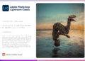Lightroom Classic 2023 12.4 – LR 2023 Mac中文版