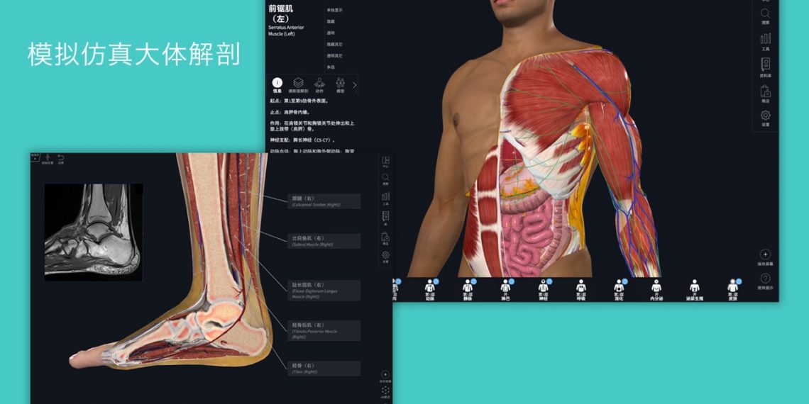 Complete Anatomy 11.0.0 for Mac — 领先的3D解剖学学习软件下载