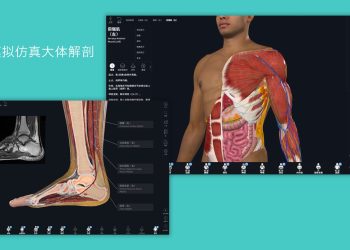 Complete Anatomy 11.0.0 for Mac — 领先的3D解剖学学习软件下载