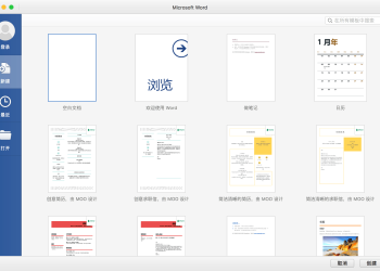 Mac Office 2024 Word 界面截图